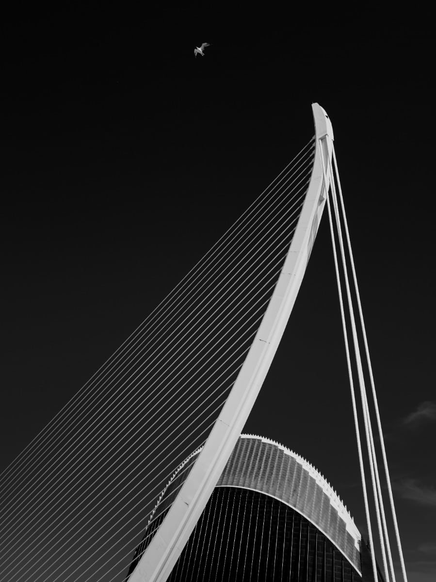 luca-bravo-PWKBrkc0O4Q-unsplash-min luca-bravo-PWKBrkc0O4Q-unsplash-min